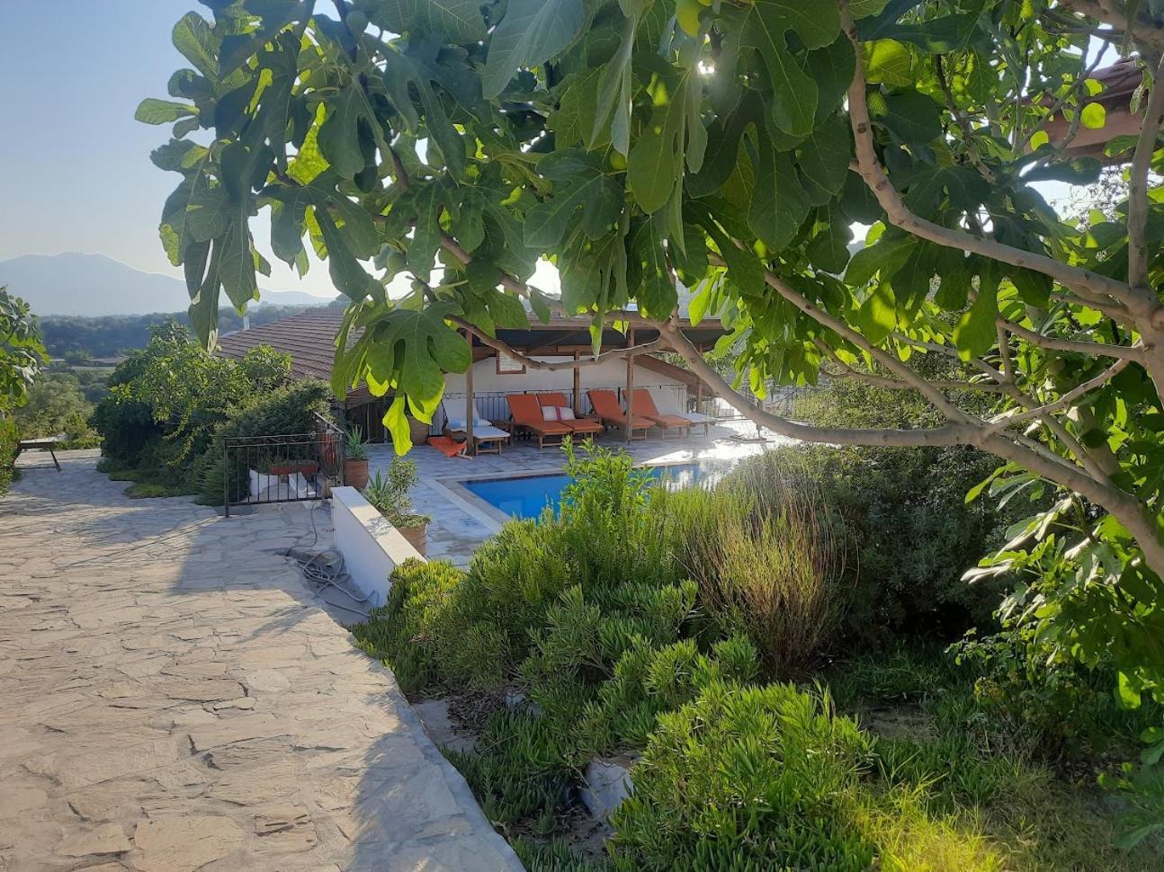 Ionia Guest House Aydin Exteriör bild