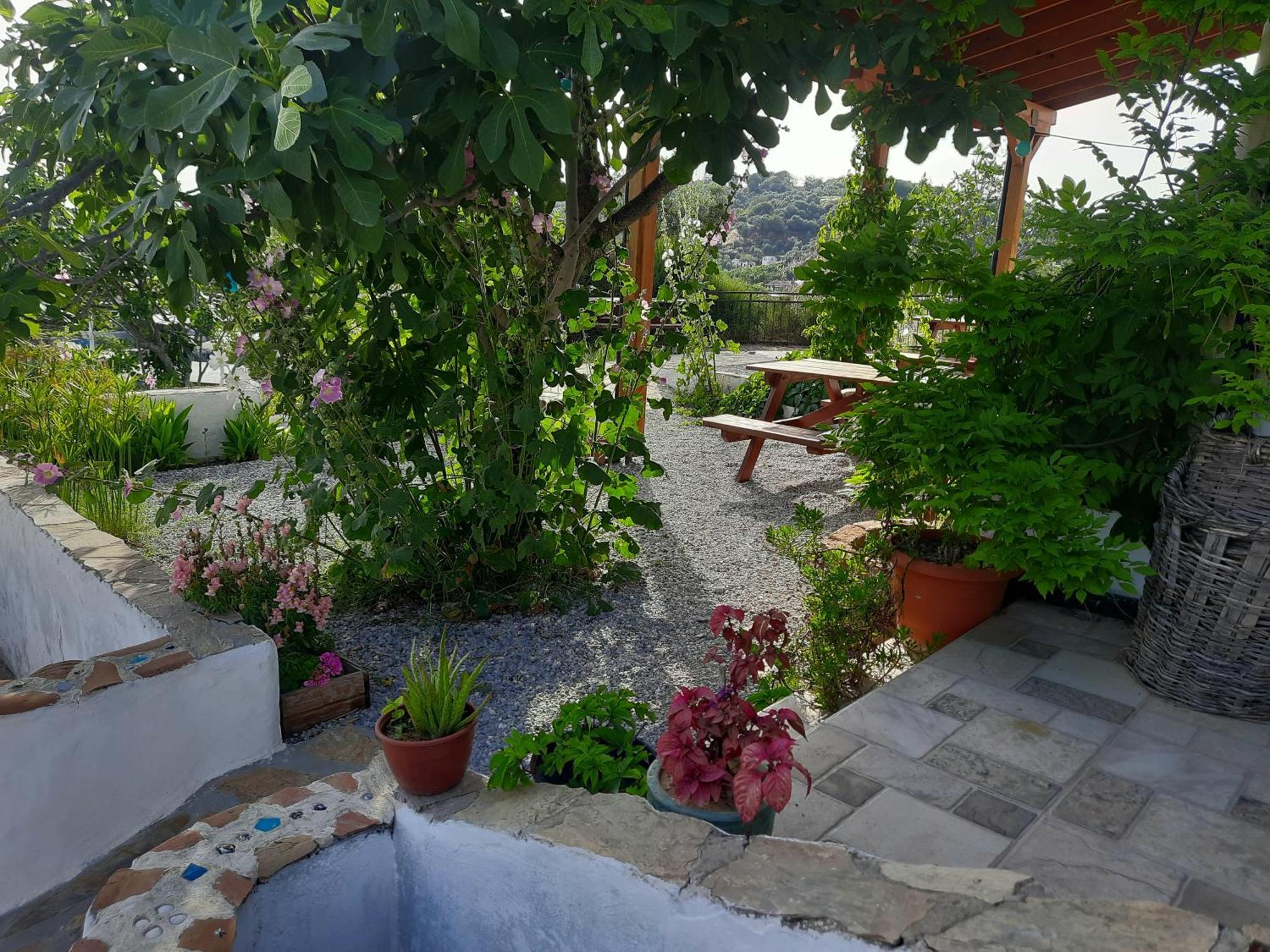 Ionia Guest House Aydin Exteriör bild