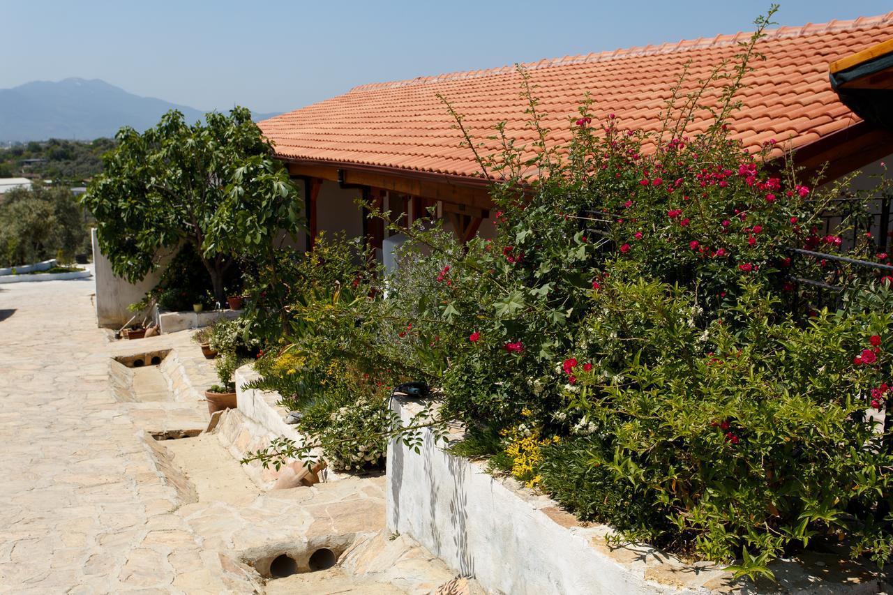 Ionia Guest House Aydin Exteriör bild